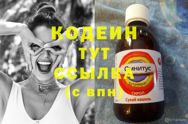 соль ск Верхний Тагил