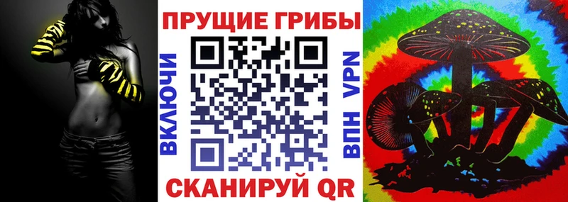где купить наркотик  Калачинск  Псилоцибиновые грибы Magic Shrooms 