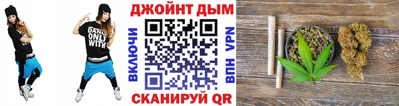 наркота  Калачинск  Канабис сатива 